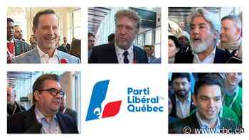 First real look at Quebec Liberal leadership race given at party convention