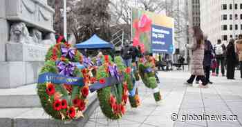 Edmonton residents mark Remembrance Day: ‘We all must tend to democracy’