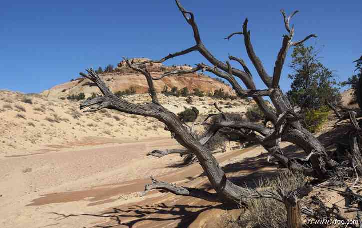 Firefighter dies after falling 30 to 50 feet while hiking in southern Utah