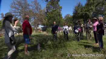 Dallas neighbors honor gravesites of forgotten veterans