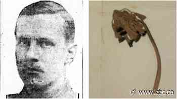 Mysterious flower pressed into WW I soldier's last letter home identified a century later