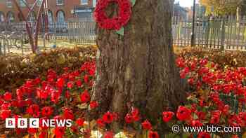 School remembers fallen with plastic-bottle poppies