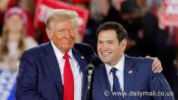 Donald Trump to name Marco Rubio as Secretary of State