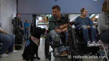 A veteran's best friend: Canine Companion arrives just in time for Veterans Day