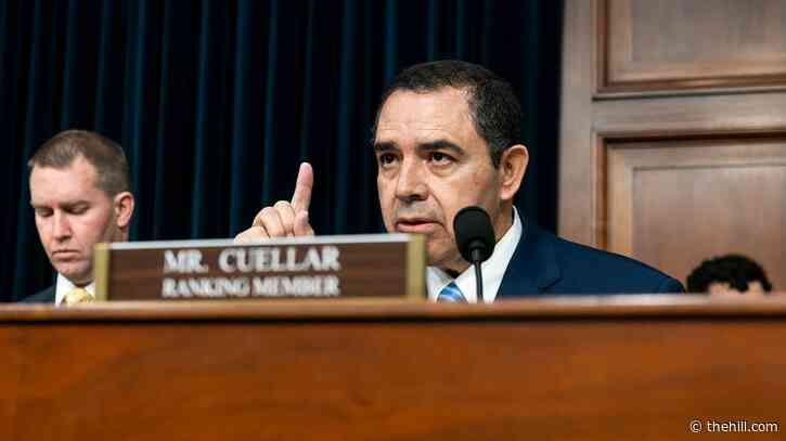 Cuellar says he will 'sit down and work together' with Homan