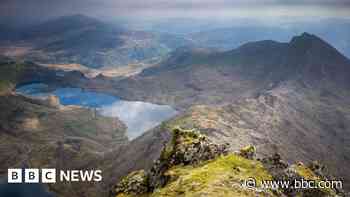 National park says dropping Snowdon name a success