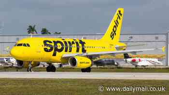 Spirit Airlines flight forced to divert after being shot at while trying to land