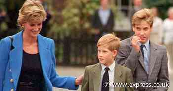 Royal expert explains how Princess Diana ‘would have sorted’ Prince William and Harry feud