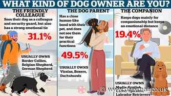 What kind of dog owner are YOU? Scientists say all pooch parents fit into three distinct categories