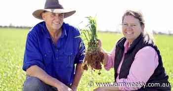 Farm pioneers Dianne and Ian Haggerty are WA's 2025 Australians of the Year