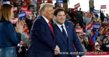 Trump to Pick Senator Marco Rubio for Crucial Cabinet Position: Report