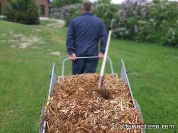 Houseworks: Natural gardening approach saves time and boosts growth 