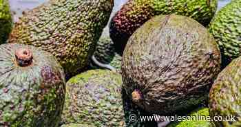 Anyone buying avocados in a supermarket has been warned over telltale signs