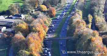 Dog and deer on carriageway moments before A27 crash