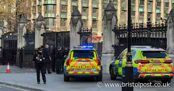 Man arrested after reports of person carrying knives outside Parliament