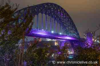 Why the Tyne Bridge and seven other North East landmarks will be lit up purple tonight