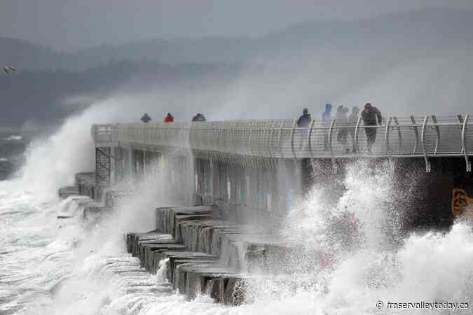 Rain, wind warnings issued along B.C. south coast