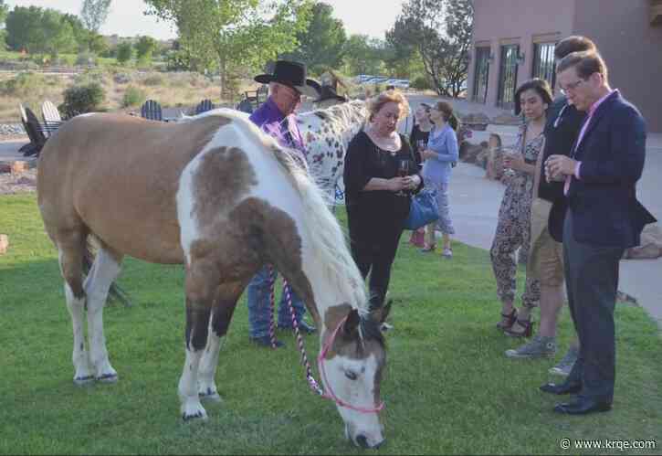 Horseshoes and Heels Gala raising awareness for unwanted/abandoned horses