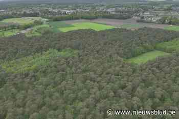 Mensen in rolstoel kunnen zonder obstakels genieten van natuur in nieuw Pelts bos