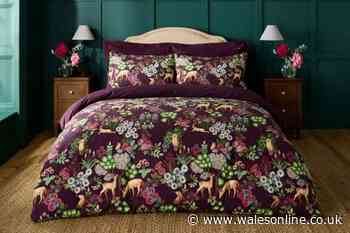 The ‘most gorgeous ever’ autumnal bedding set so cosy customers ‘don’t want to wake up’