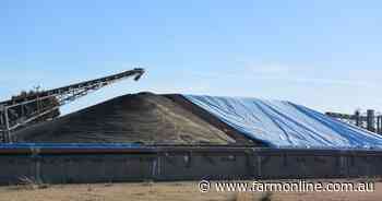 Canola prices surge above $800/t as farmers take advantage at harvest