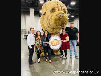 Search is on for suspect who stole a 700-pound stuffed dog from Vegas non-profit