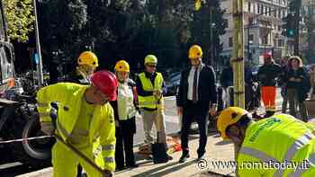 A Roma in arrivo 5800 nuovi alberi. Si parte da viale Angelico