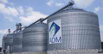 Fallout from ADM accounting scandal continues as share price falls by 6pc