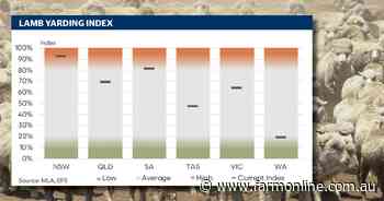 Lamb volumes spring into action