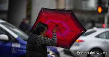 Rain, wind warnings in place as another storm moves across B.C.’s South Coast