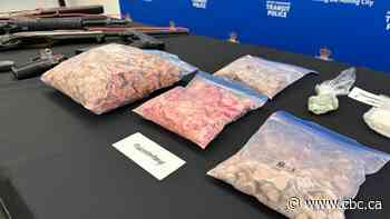 Firearms and fentanyl shaped like dog treats seized by Metro Vancouver Transit Police