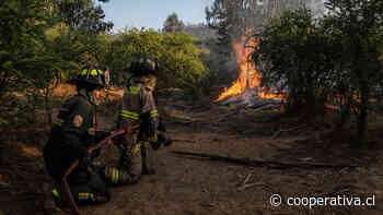 Tres detenidos por incendios en Valparaíso: Adolescentes usaron lupa para prender pirotecnia