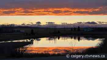 Mild temperatures in Calgary will last for a couple more days