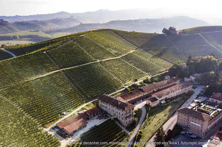 Piedmont's signature standouts: Exploring Nebbiolo and new horizons