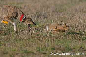 Appeal after farmer shot at with catapult by suspected hare coursers