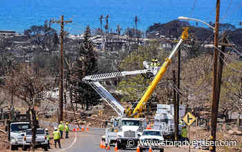 Settlement reached on issue of birds and Maui power lines