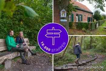 Reeën spotten in twee verborgen parels: de perfecte herfstwandeling in de Zuidrand