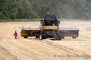 Cereals quality survey confirms lower nitrogen and protein levels