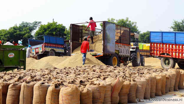 Krappe voorraad stuwt tarwe in India naar record