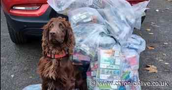 Sniffer dogs discover illegal haul of cigarettes worth £14,000 in Sunderland