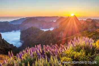 Find your own sunshine escape all year round in majestic Madeira