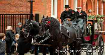 Hull's Victorian Christmas opens with array of festive stalls and horse and carriage rides