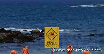 Dirty secret of mysterious ‘tar balls’ washed up on Sydney’s shores uncovered