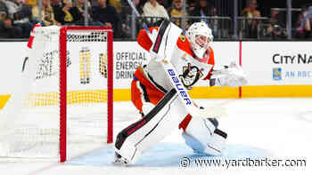 We Could See Some Action in Net for the Canadiens Today as a Big Decision Awaits Hughes