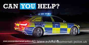 Witness appeal after girl forced into car in Wincanton