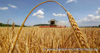 Verabschiedung ukrainischer Landwirtschafts-Praktikanten