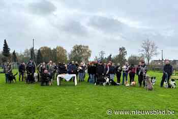 Hondenwijding op hondenschool Cerberos