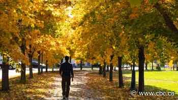 Even if you can't hit 10,000 steps a day, walking has many health benefits