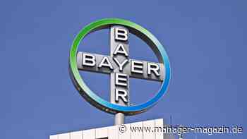 Bayer: Hedgefonds wettet mehr als eine Milliarde Euro gegen Bayer