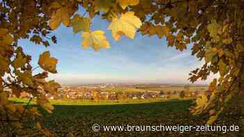 Wunderschöner Herbst: Wanderwege im Salzgitter Höhenzug